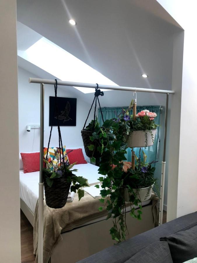 Insidehome Apartments - La Casita De Ursula パレンシア エクステリア 写真